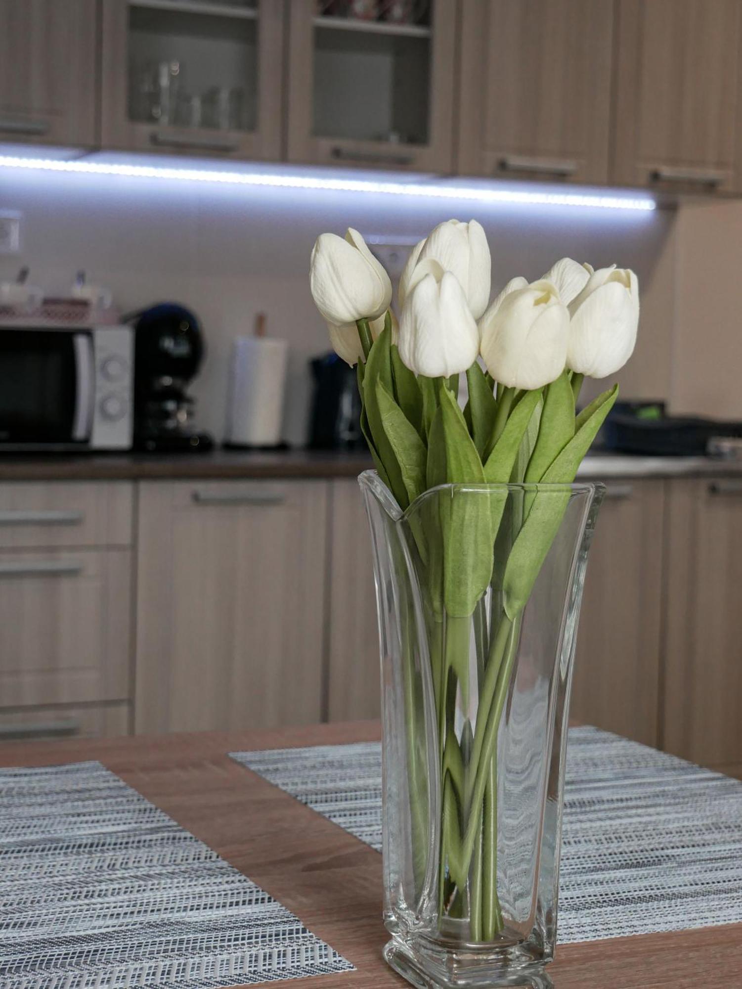 Várfal apartman Eger Szoba fotó